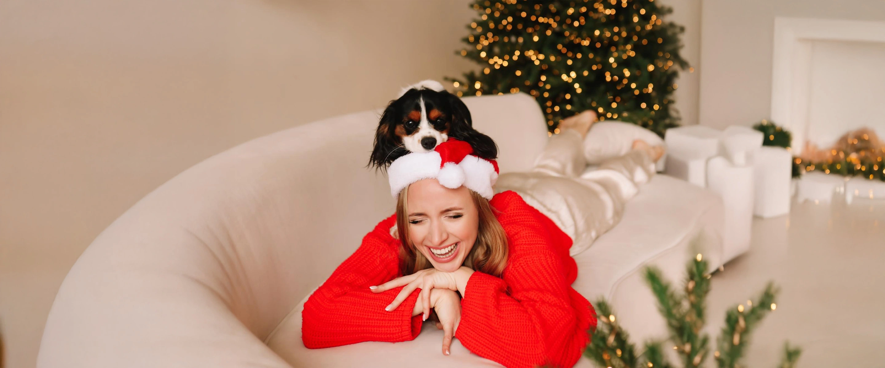 Подаръци за кучета