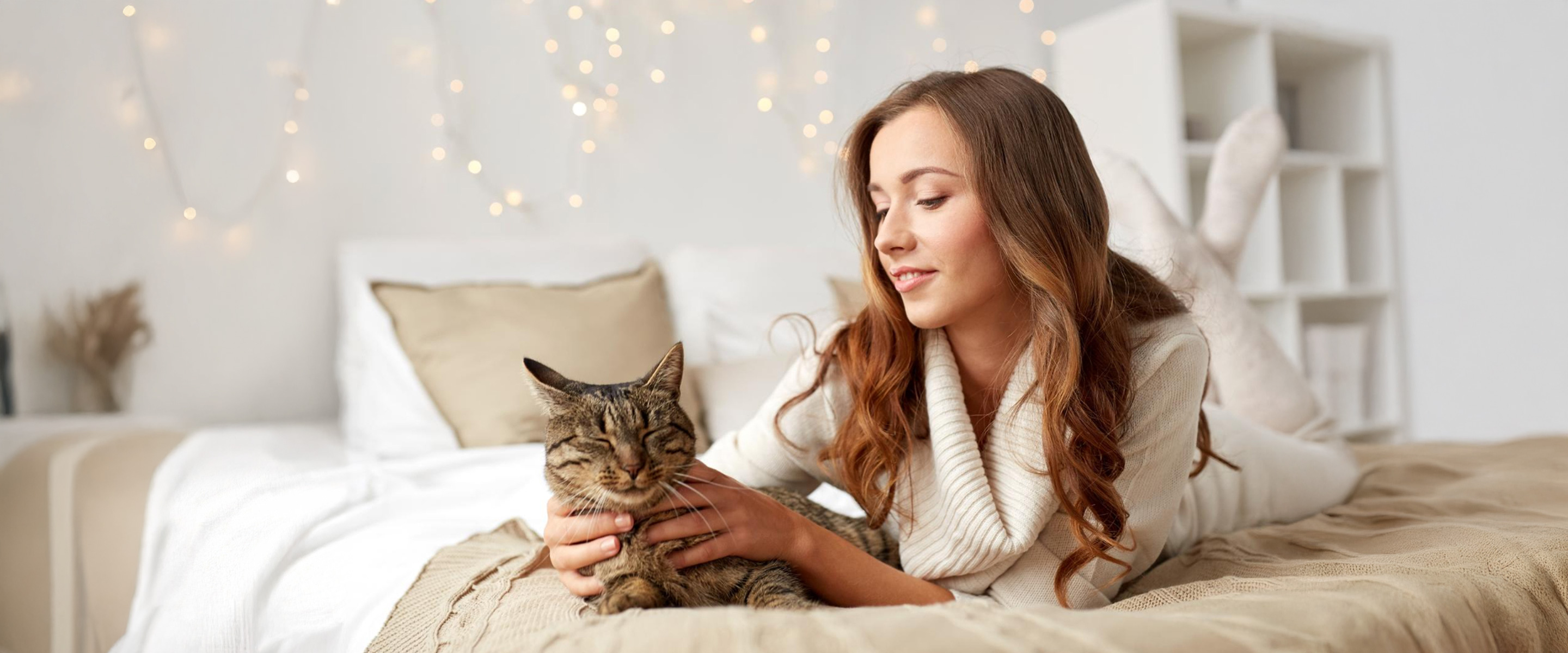 Gesundheit und Energie in jedem Bissen