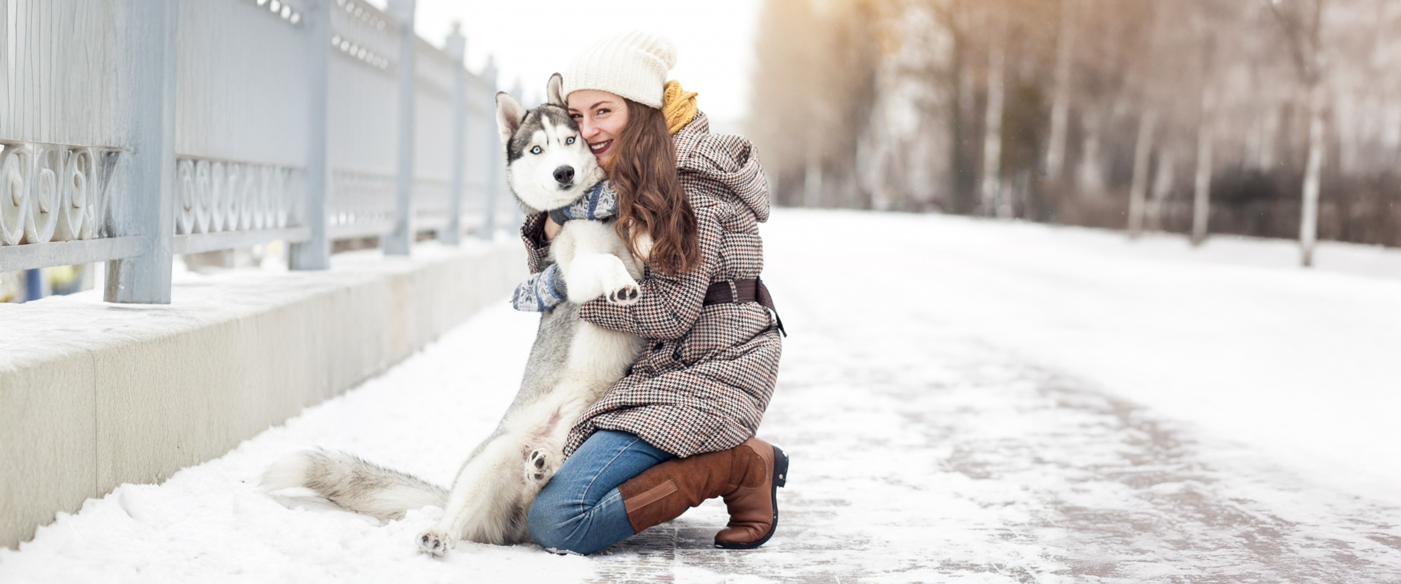 Health and energy in every bite