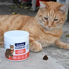FLEXICAT
