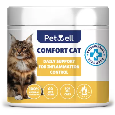 COMFORT CAT