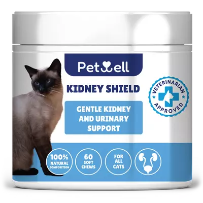 KIDNEY SHIELD