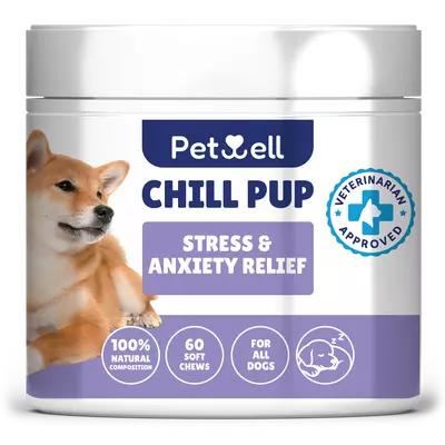 CHILL PUP