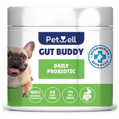 GUT BUDDY