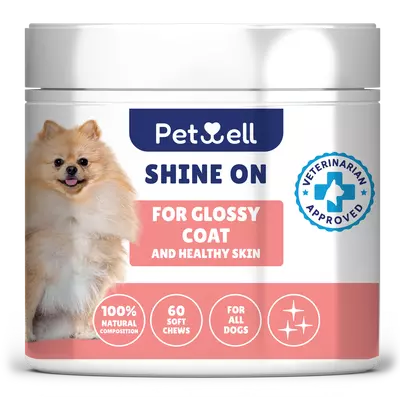 SHINE ON