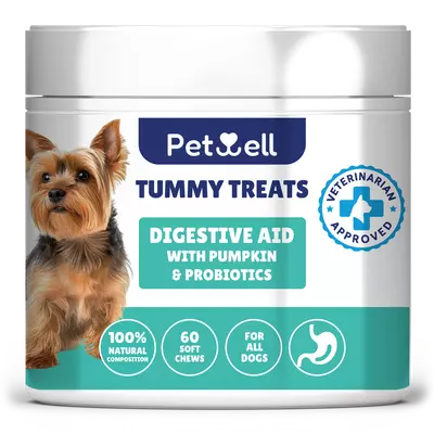 TUMMY TREATS