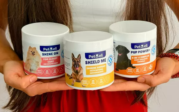 Triple charge for a happy dog: energy, immunity and shiny coat