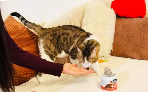 FLEXICAT