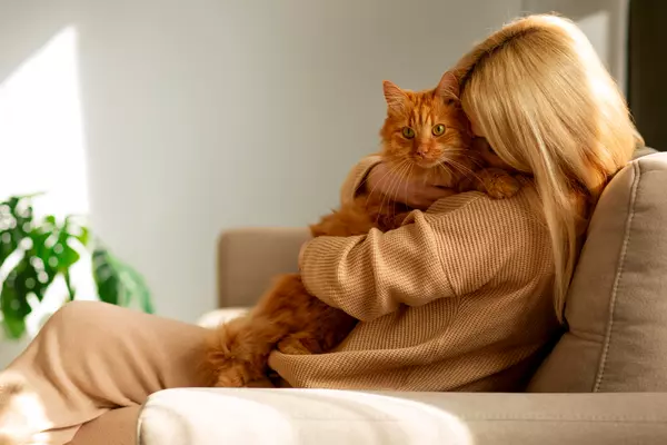 Защо котката ти те удря леко с глава по лицето или ръцете?