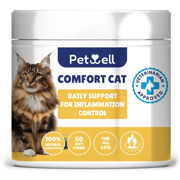 COMFORT CAT
