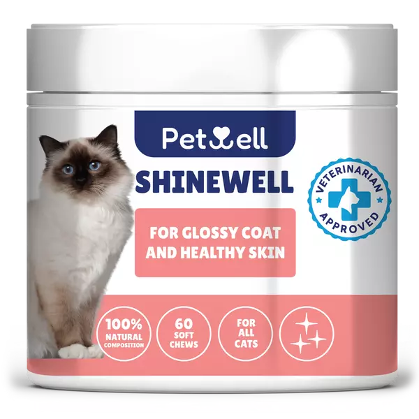 FLEXICAT