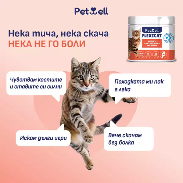 хранителна добавка за котки flexicat