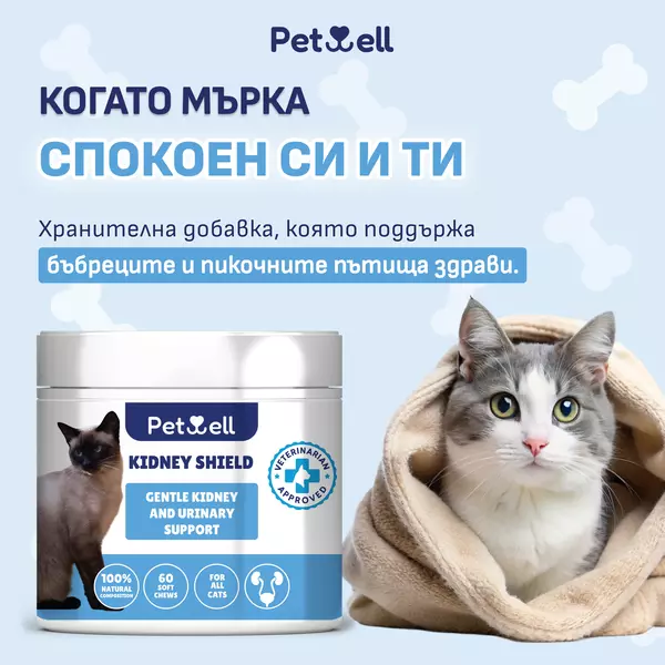хранителна добавка за котки kidney shield