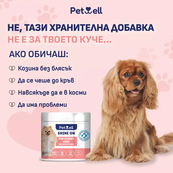 хранителна добавка за кучета SHINE ON